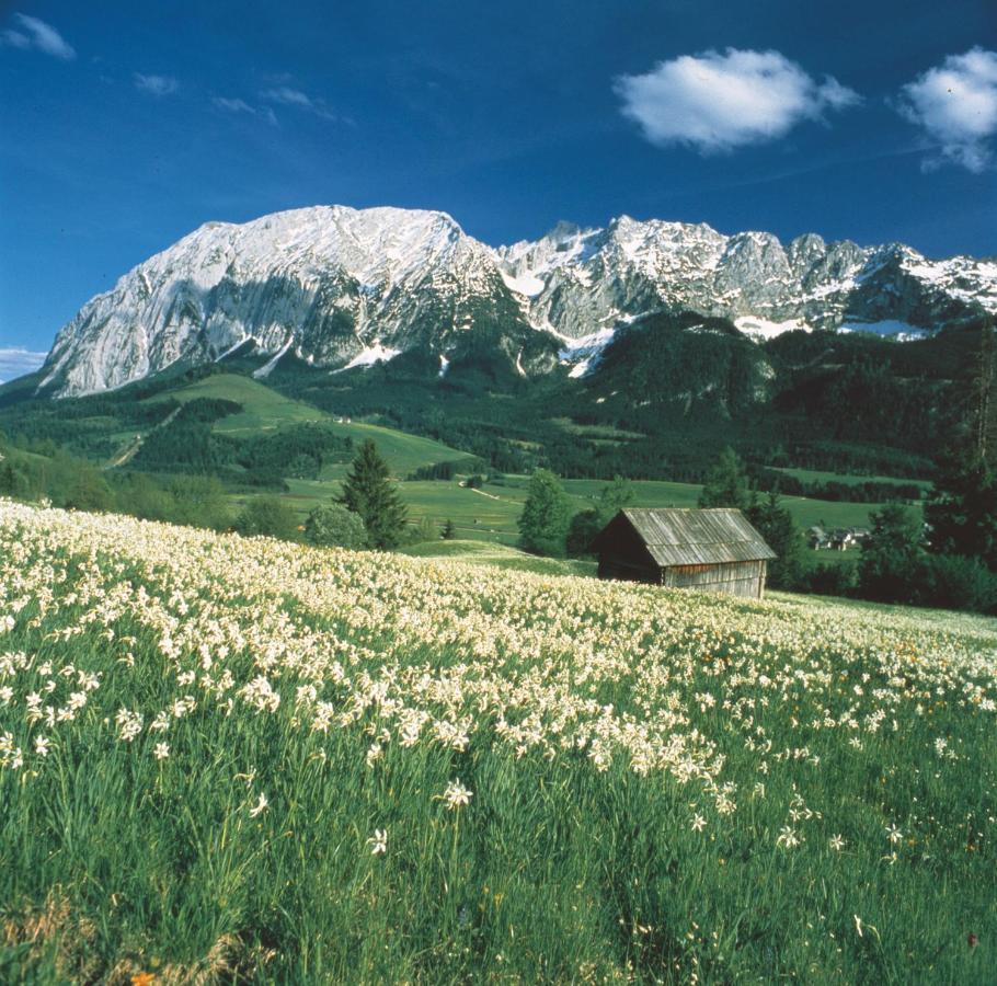 Апартаменти Schusterbauernhof Бад-Міттерндорф Екстер'єр фото